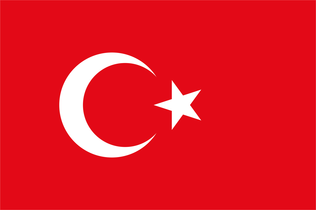 Türkçe